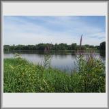 IMG_0080.jpg